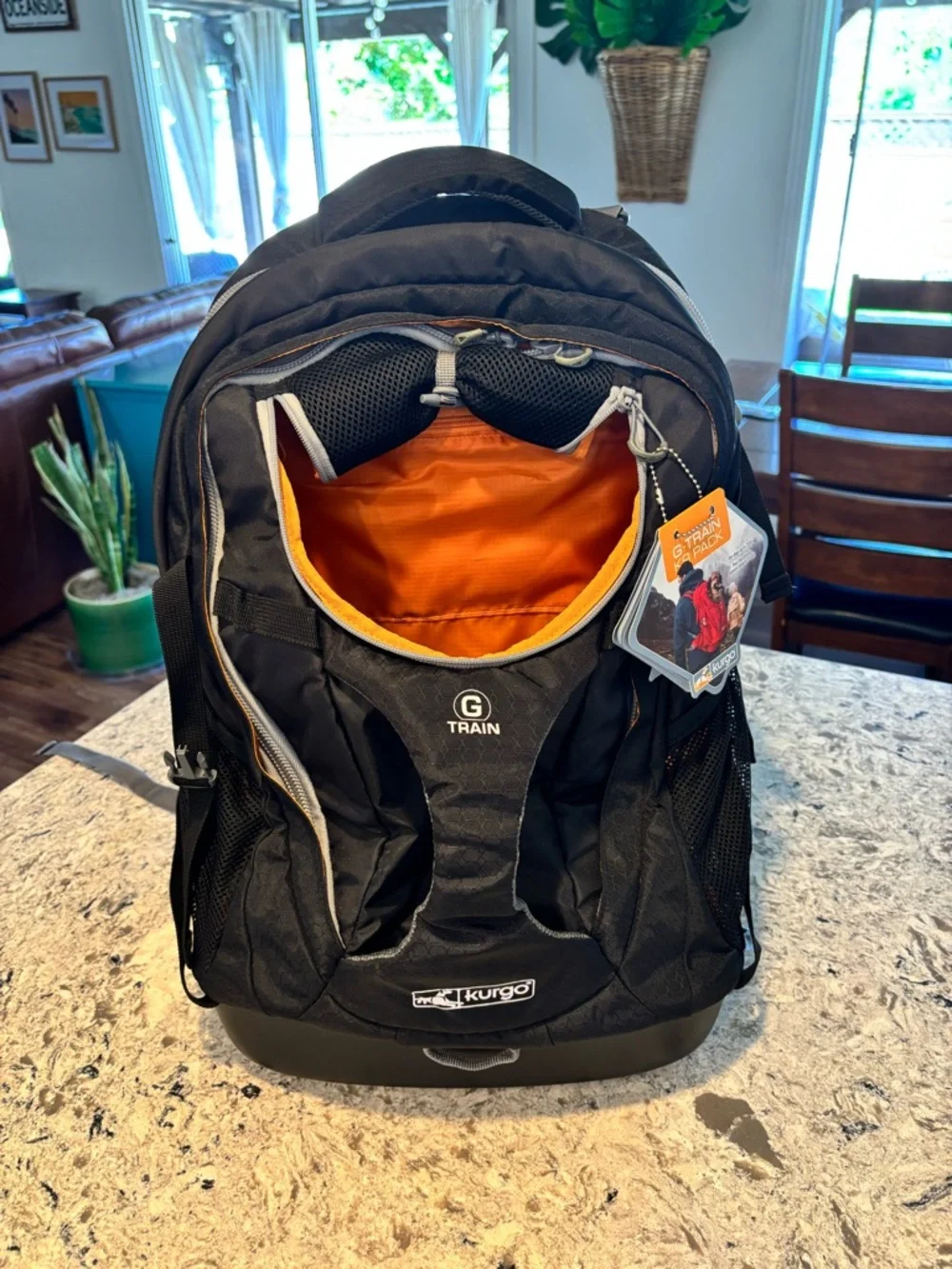 Kurgo G-Train Black Backpack with Orange Interior